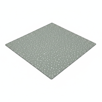 Sage Spots - Clean Flat Lay